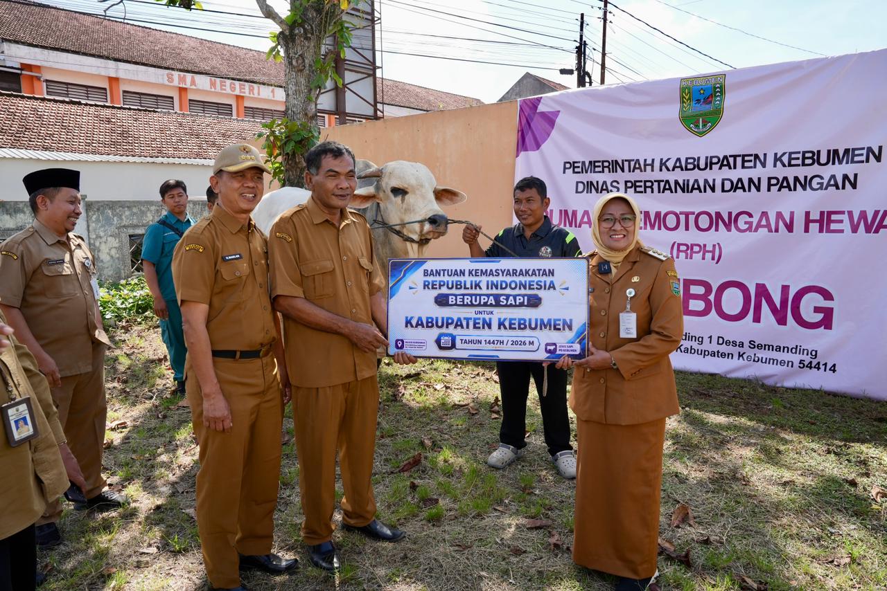 Penyerahan Sapi Qurban Bantuan Presiden & bupati kebumen
