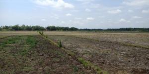 Petani Sangubanyu belum Turun ke Sawah