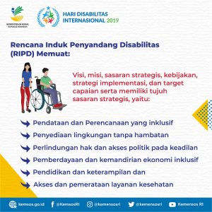 Indonesia Inklusi, Disabilitas Unggul