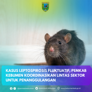 Kasus Leptospirosis Fluktuatif, Pemkab Kebumen Koordinasi Lintas Sektor Untuk Penanggulangan