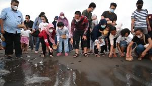 Hari Lingkungan Hidup 2021, Bupati Kebumen Lepas Puluhan Tukik dan Tanam 100 Ribu Mangrove