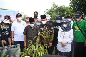 Aneka Bibit Pohon Ditanam di Agro Wisata Embung Cangkring Sadang