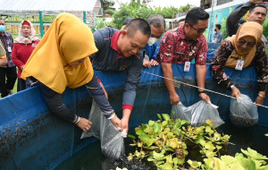 Bupati Tanam Padi Rojolele dan Tebar 1000 Benih Ikan Gabus di Agri Smart