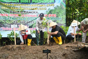 Gandeng Pertamina, Bupati Arif Sugiyanto Tanam 1000 Mangrove di Pantai Logending