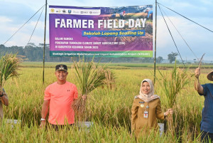 Bupati Kebumen Panen Raya Padi MT 2, Harap Gabahnya Dibawa ke RMU