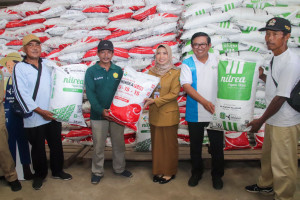 5000 Petani di Kebumen Dapat Pupuk Murah Nonsubsidi dari Pupuk Indonesia