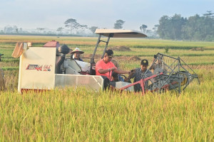 Pemkab Kebumen Alokasikan Pupuk Bersubsidi Puluhan Ribu Ton