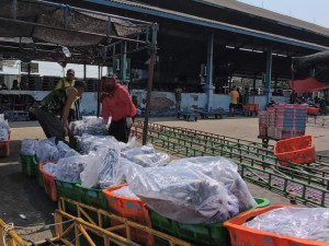 Jateng Gencarkan Gerakan Gemarikan, Konsumsi Ikan Naik dan Sejahterakan Nelayan